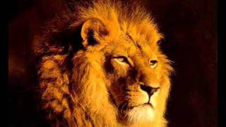 Prince Alla & Jah Shaka - Togo the Lion