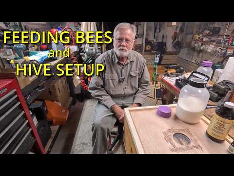 Feeding Bees and Hive Set Up