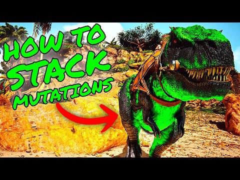 How To STACK MUTATIONS in Ark Survival Ascended! ASA MUTATIONS/BREEDING GUIDE!!!