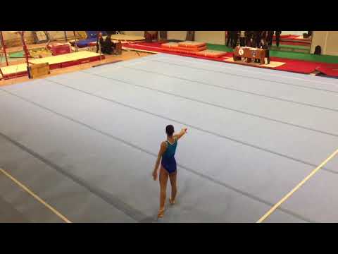 Eccellenza LE3 17/02/18 - ARTISTICA PROVAGLIESE