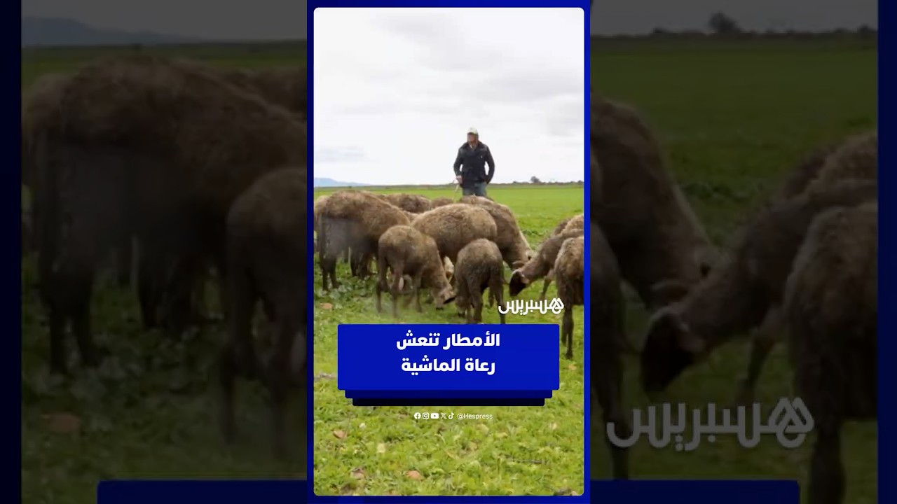 بعد سنوات عجاف… التساقطات المطرية تنعش الكلأ وتعيد الآمال للكسّابة thumbnail