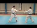 Kata Tekki Nidan Et Bunkai