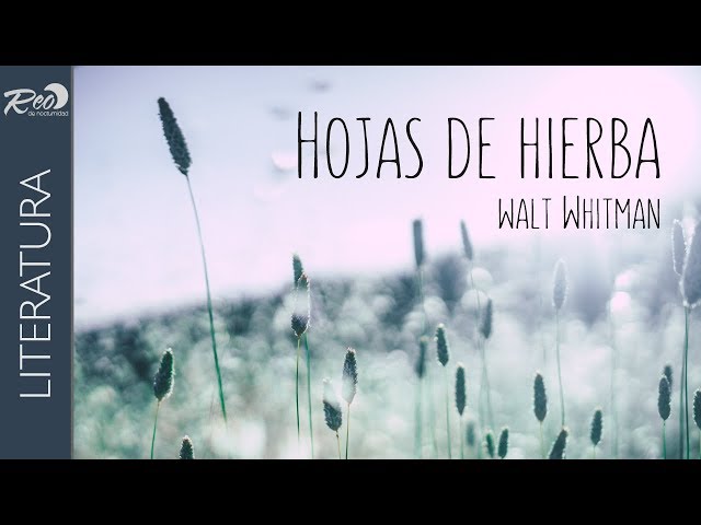 Vídeo relacionado con Hojas de hierba