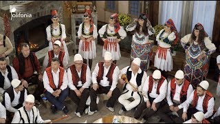 Naim Krasniqi & Vellezerit Mziu - Kallushanat 7