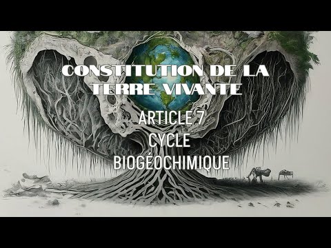 ARTICLE 7 - CYCLES BIOGÉOCHIMIQUES