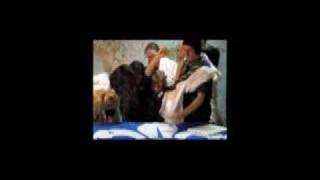 Rover Broadcasting Station News Part 2