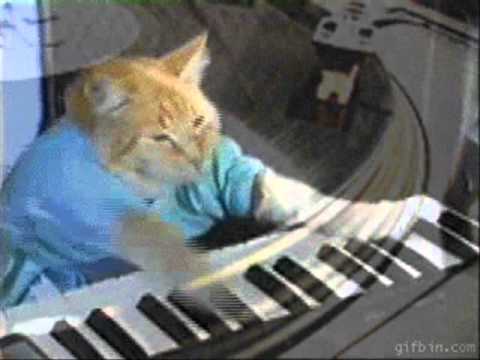 3y3b4ll - the wrong room