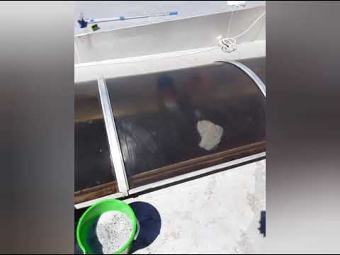 Mapaela Windows cleaning services video.