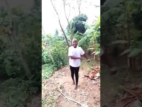 Track 60,  Tana d'vai Eliyahu & Amar Rabbi Elazar:  We Sing We Stay Together: Shabbat Prayers