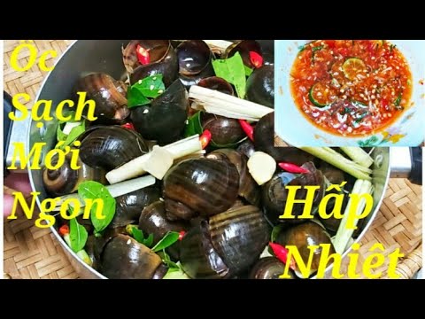 Mẹo Làm Sạch Ốc 100% - ỐC HẤP SẢ LÁ CHANH không cần nước ngọt dai không tanh  || ÂTTT