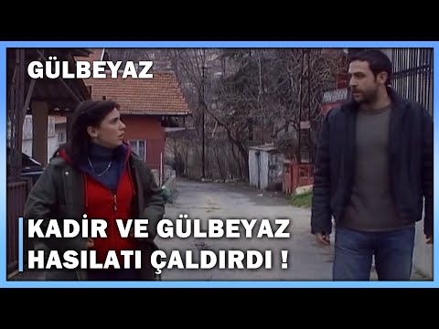 Kadir Ve Gülbeyaz Hasılatı Çaldırdı! - Gülbeyaz 8.Bölüm