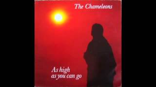 The Chameleons - As High As You Can Go (12&quot;)