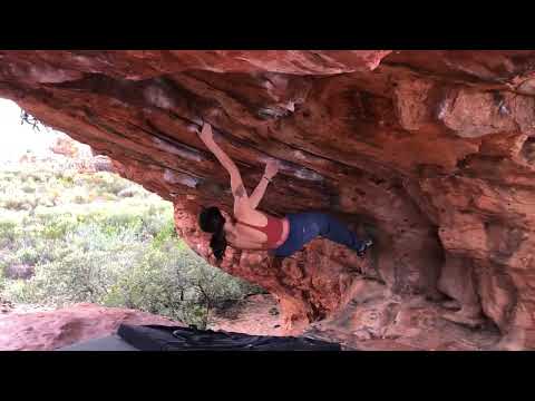 ROCKLANDS 2023 | tea arch high 7C | tea garden