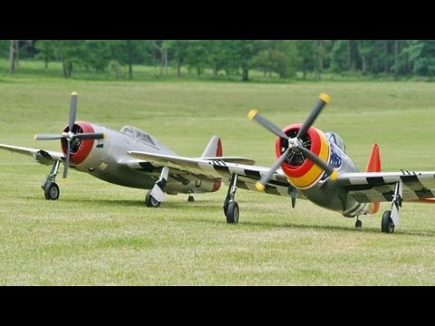 TWO GIANT 1/4 SCALE MOKI 250 cc CARF P47 THUNDERBOLTS - WESTON PARK RC MODEL AIRSHOW - 2013