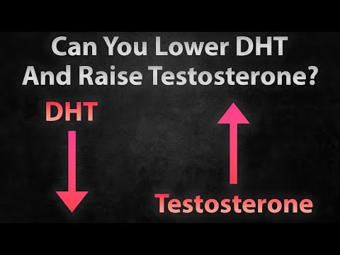 Can You Lower DHT and Raise Testosterone? | The Gillett Health Q&A #2