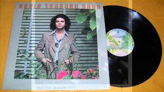 David Sanborn We Fool Ourselves