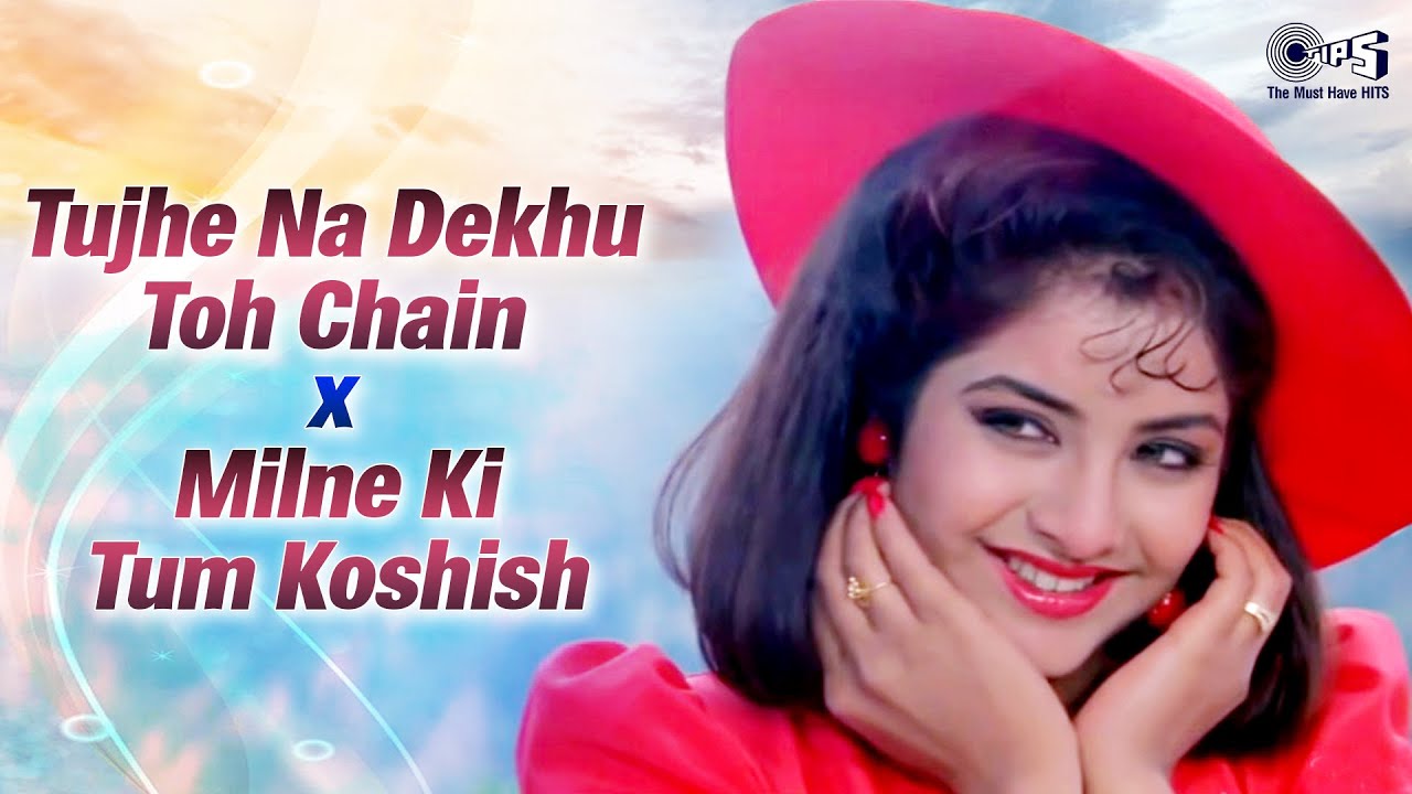 Tujhe Na Dekhu Toh Chain X Milne Ki Tum Koshish Karna | 90s Hindi Song | Love Songs | Sadabahar Gane