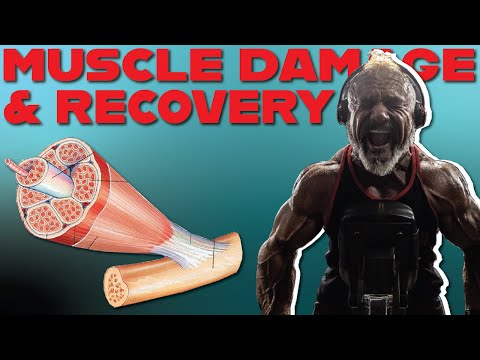 IS MUSCLE DAMAGE DESTROYING YOUR GAINS? BODYBUILDING SCIENCE - MUSLCE MINDS PODCAST 89
