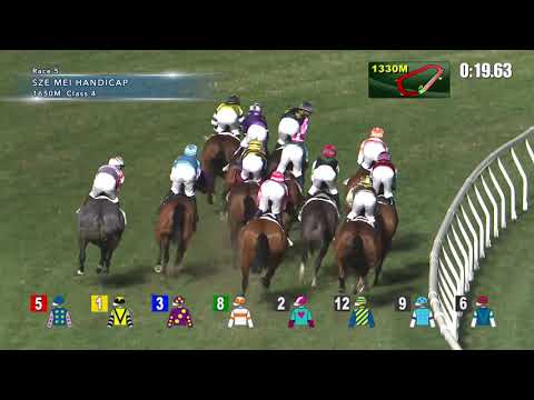 Hong Kong Race Replay | Happy Valley | January 20, 2021