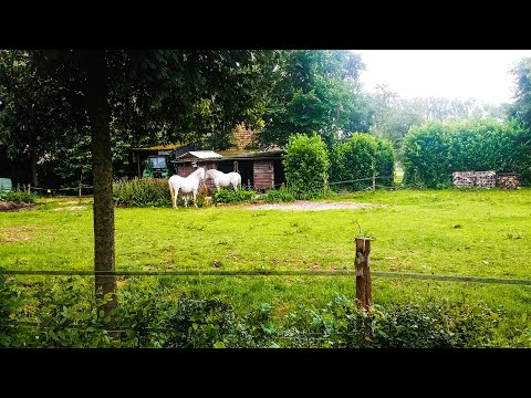 Heijen beautiful sunny day