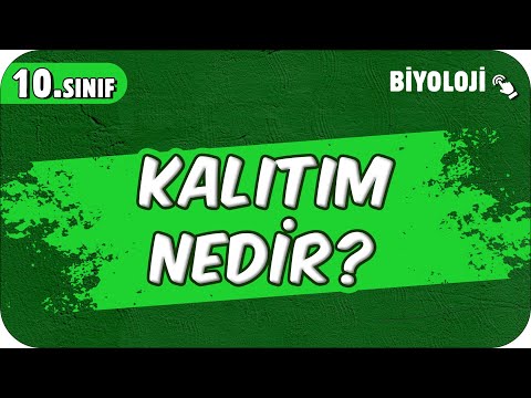 Kalıtım