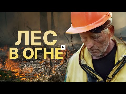 Лесные пожары в Якутии. Съёмочная группа RT — о работе авиалесоохраны