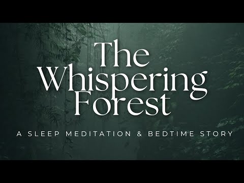 The Whispering Forest – A Sleep Meditation & Bedtime Story with Rain Sounds