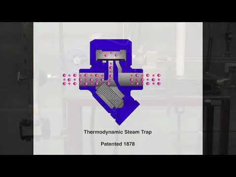 Thermodynamic Steam Trap
