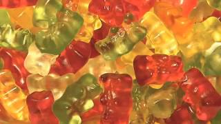 GOLD-BEARS : Yeah, Tonight