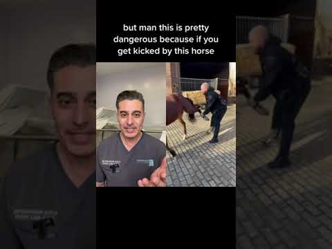 Unbelievable Animal Treatment: Watch What This Chiropractor Does!