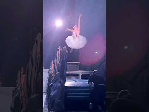 JUMP OF WHITE SWAN | View from behind the stage | Ballet 'Swan Lake'