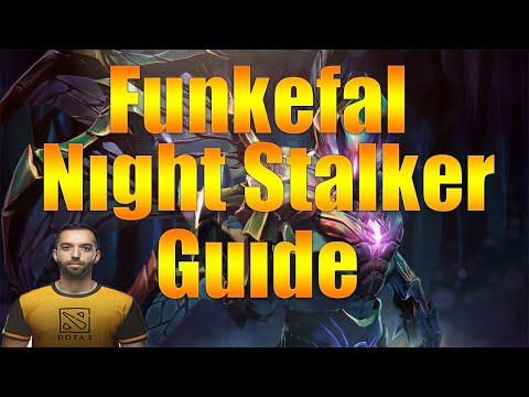Funkefal Offlane Night Stalker Guide +7k Average With Cam+ Voice
