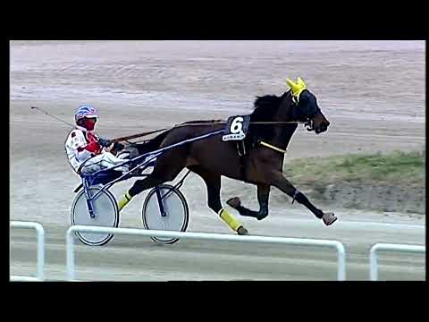 Napoli Trotto 20/03/2022 - 7ª corsa