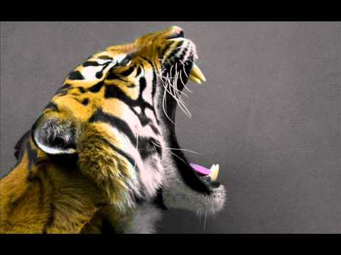 Funky Junction, 2 In A Room, Splashfunk -Shake Da Booty ( Move