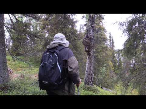 REIVO naturreservat inventering Lena Lagerstam