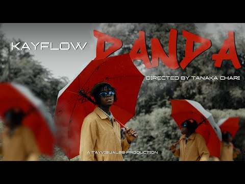 KAYFLOW and TAYVISUALSS