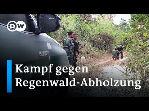 Kampf gegen Regenwald-Abholzung in Brasilien | DW Nachrichten