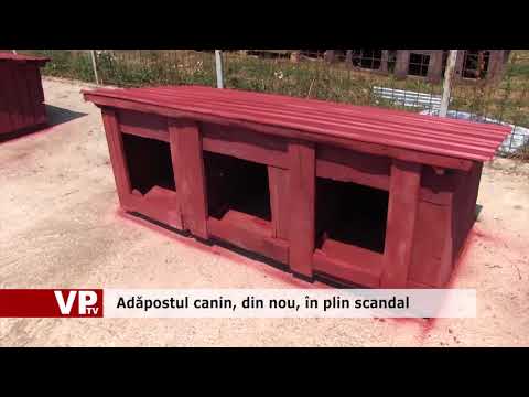 Adăpostul canin, din nou, în plin scandal