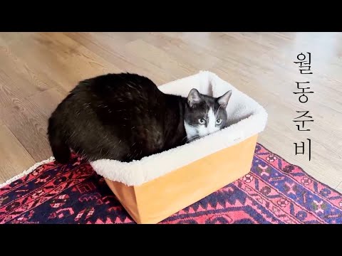 살구와 자두의 월동준비!! 벌써 겨울이다! 보일러 기름은 채웠냐?