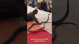 Download lagu Atrkaksi king cobra ardika music mp3