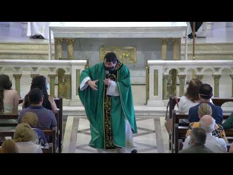 Só Tu Tens Palavra de Vida Eterna - MÚSICA PARA MISSA