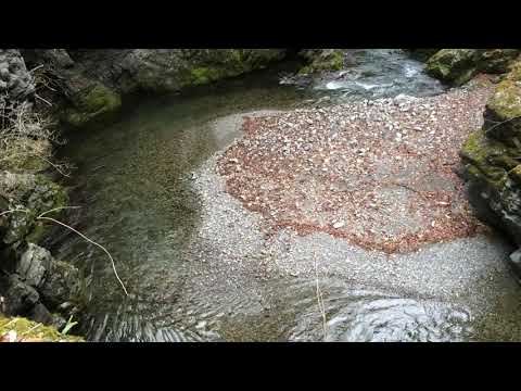 【檜原村】中山渓（中山の滝）