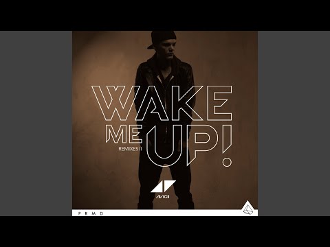 Wake Me Up (EDX Miami Sunset Remix)