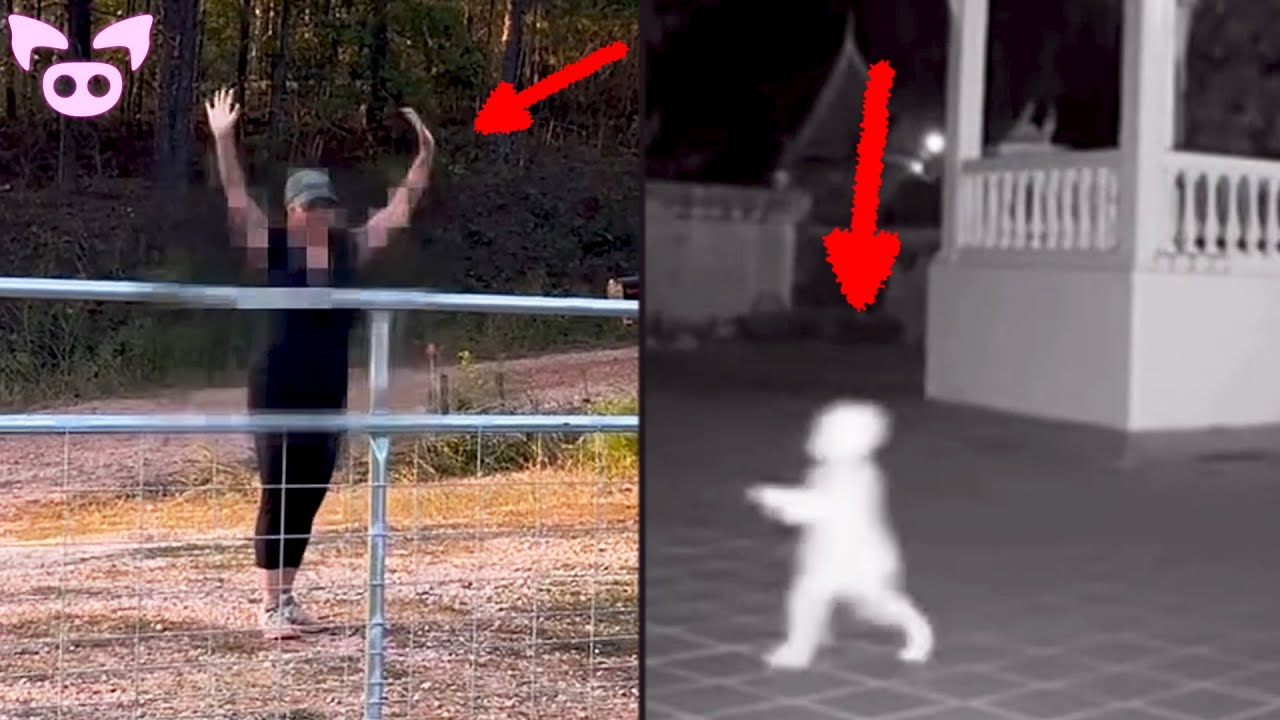 We Need To Talk About This Creepy Clip