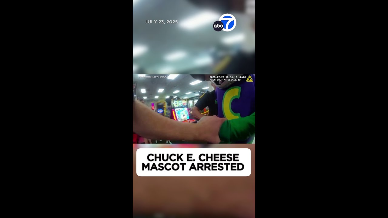 Chuck E. Cheese mascot arrested in full costume