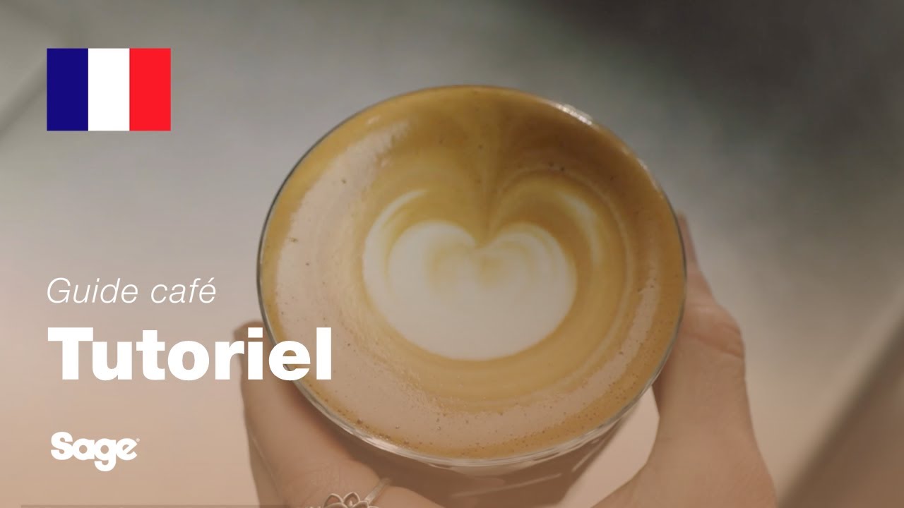 Guide didactique du café Breville - Comment faire du « latte art » : le point