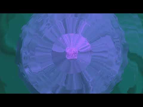 Baymont Bross feat. Will Best Bastard - Random style (Vadim Shantor remix)