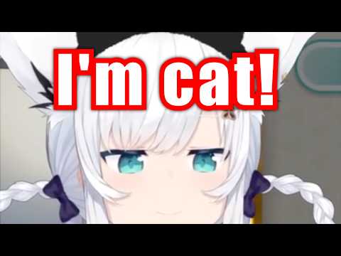 Fubuki Is Cat Not Fox【Hololive】