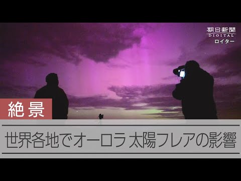 幸せの？青いカエル、小学生が発見　さっそく小さな幸福 動画：朝日新聞デジタル