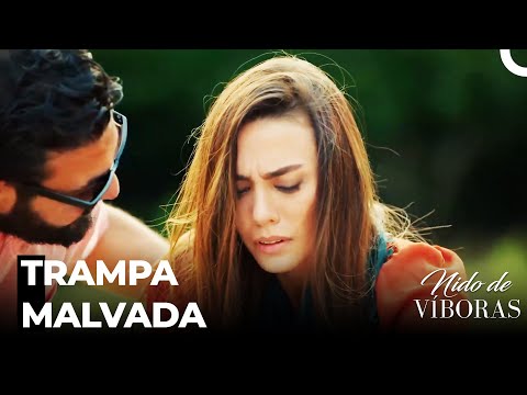 Maldades De Elvan  - Nido De Víboras